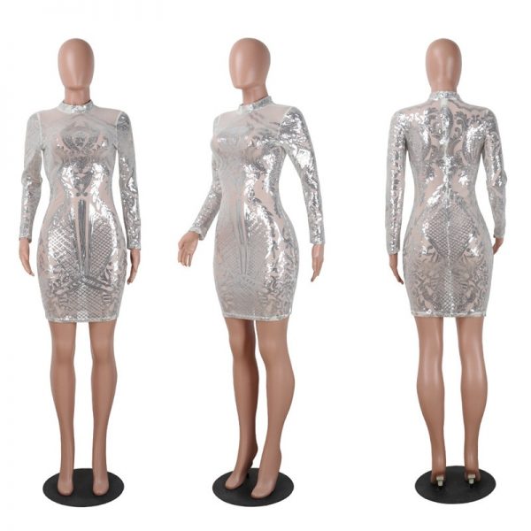 Silver Sequin Bodycon Dress 3